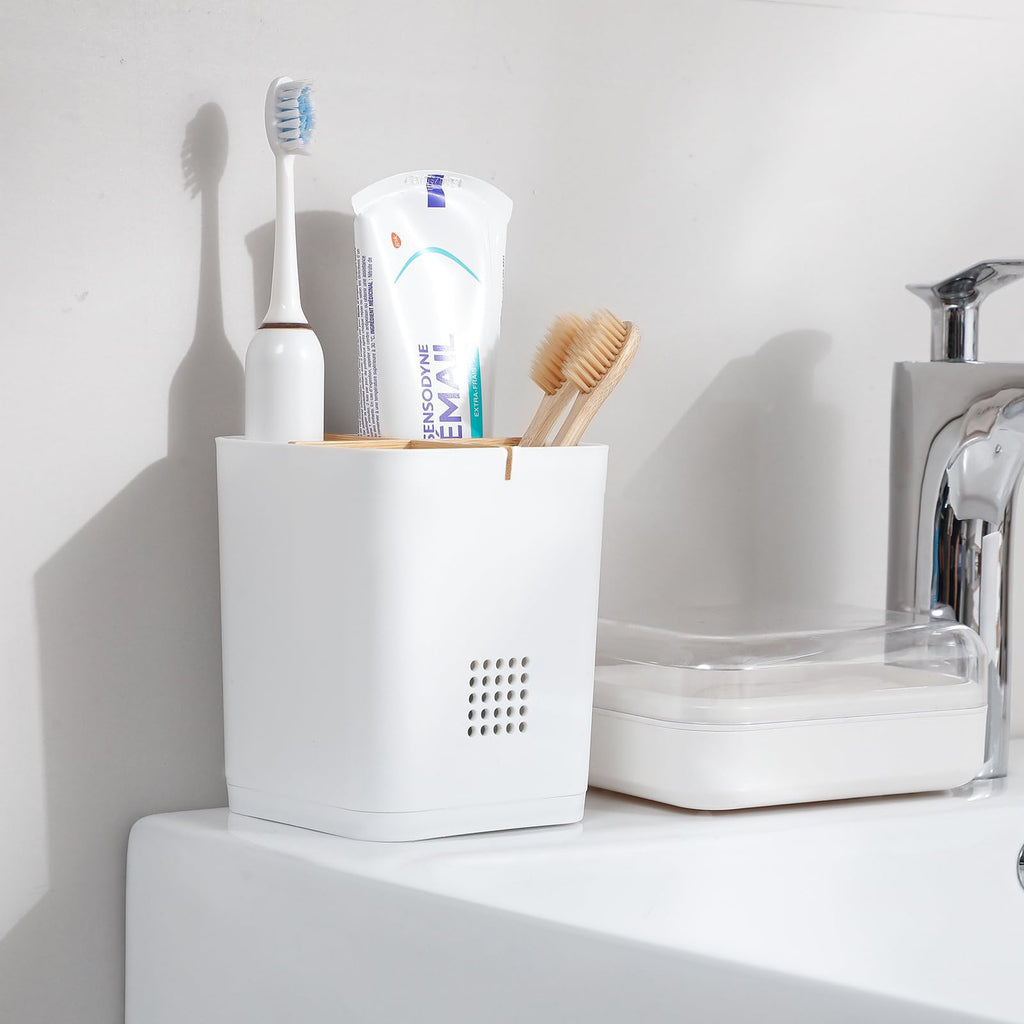 Toothbrush Holders Drainage for Bathrooms