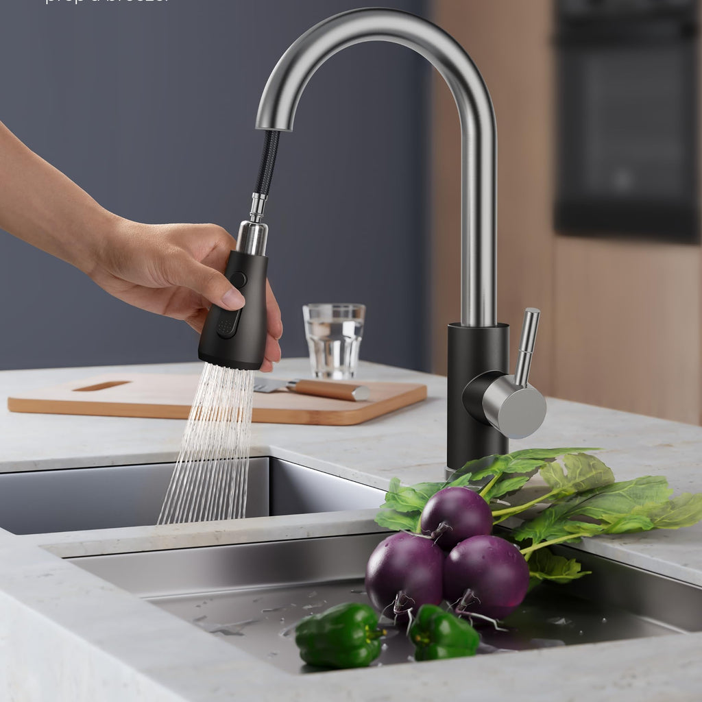 Kitchen Faucets with Pull Down Sprayer