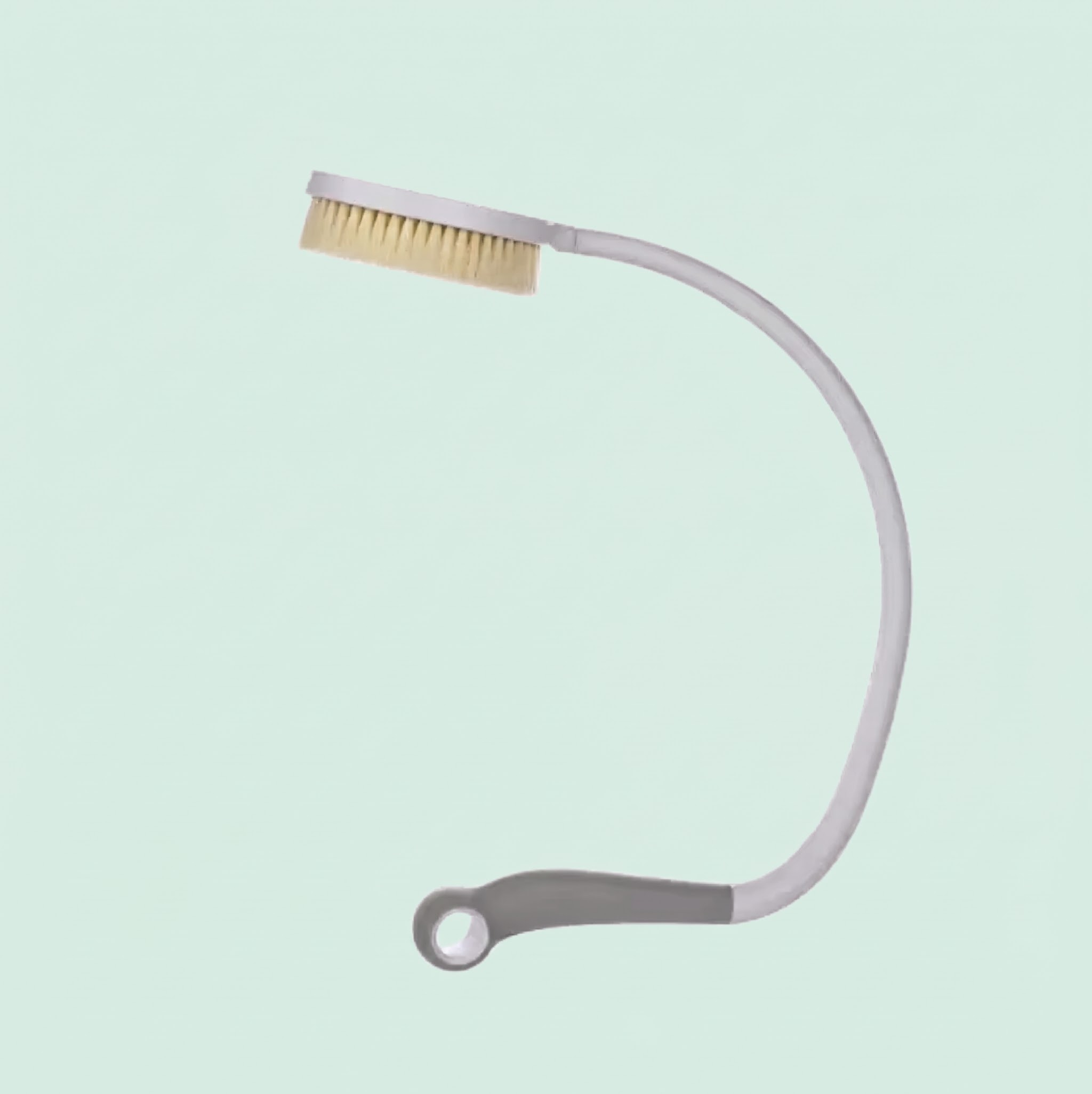 Long Handle Back & Body Shower Brush