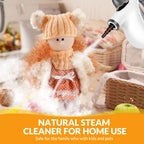 Handheld Pressurized Steam Cleaner with 12 pcs Accessories