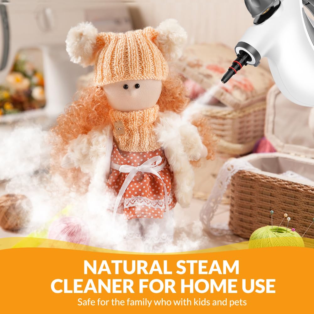 Handheld Pressurized Steam Cleaner with 12 pcs Accessories