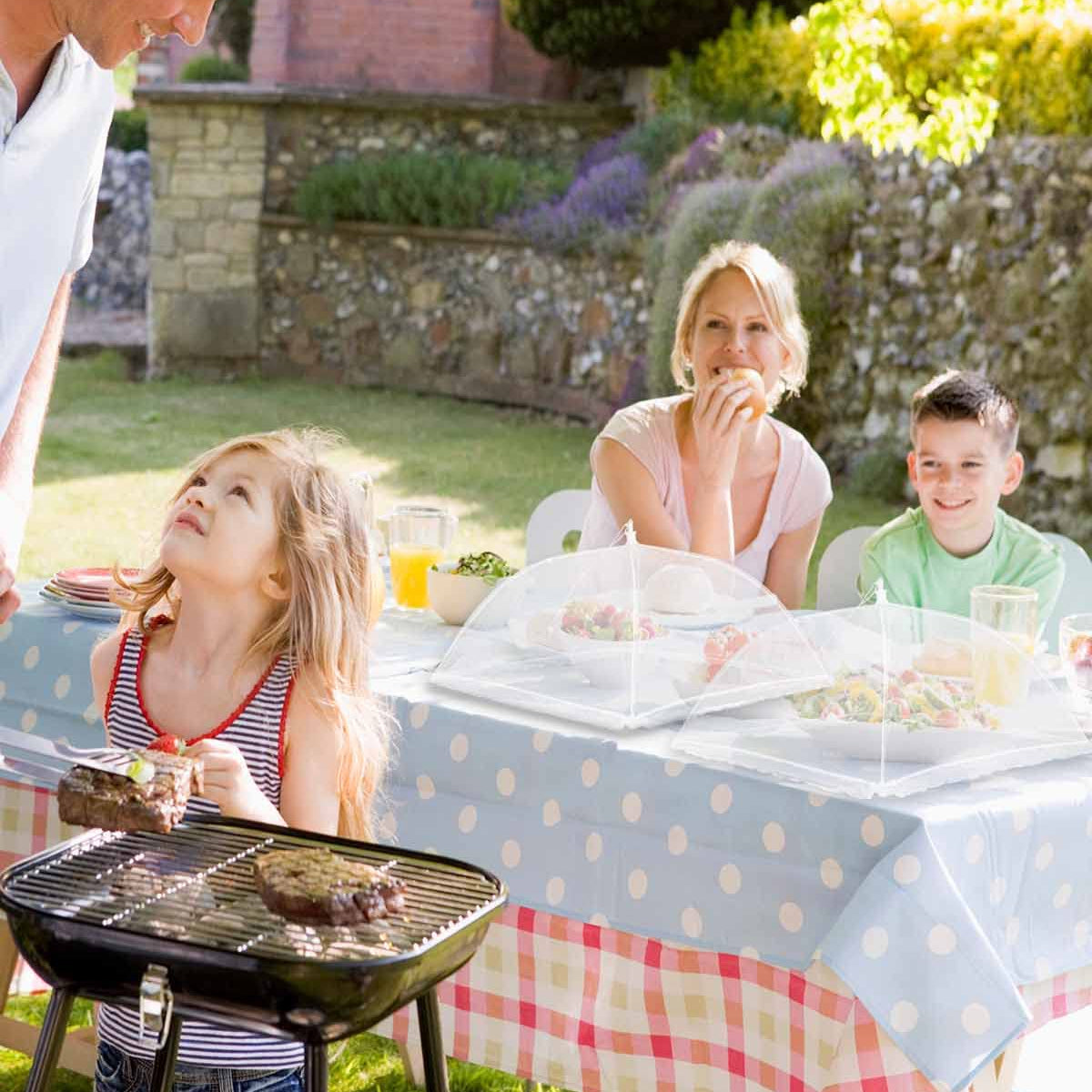 Large Food Cover, 6 Pack Mesh Food Tent