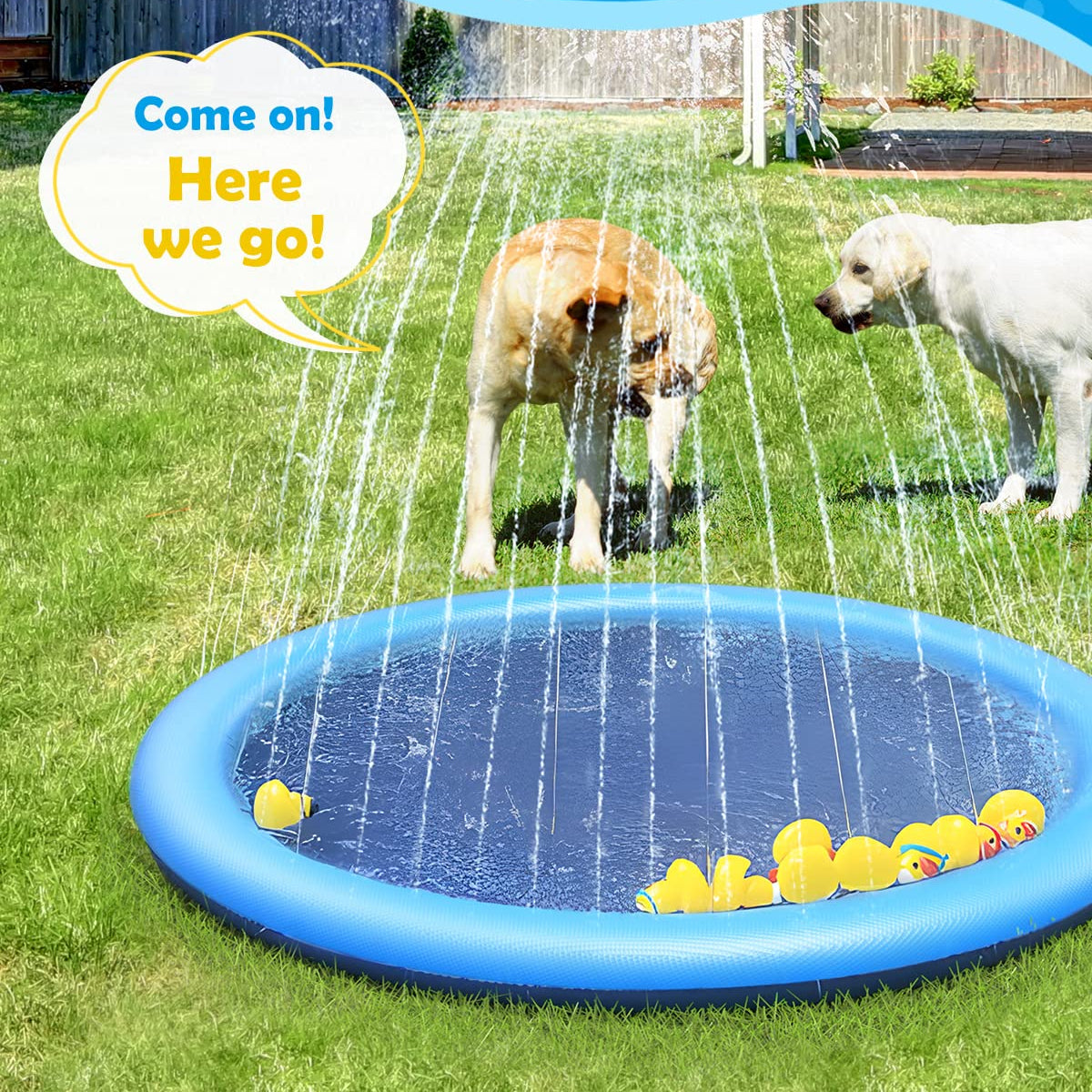 Refreshing Dog Sprinkler Pad