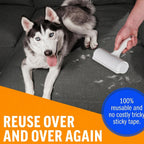 Lint Remover Brush for Couch, Carpet, Furniture and Car Seats