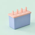 Popsicle Mold with Lid Homemade Ice Cream Maker